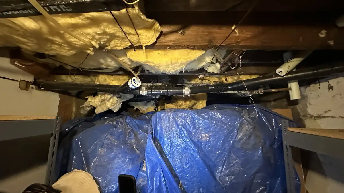 A low-angle photo shows exposed yellow fiberglass insulation between wooden beams in a basement, with black pipes running…