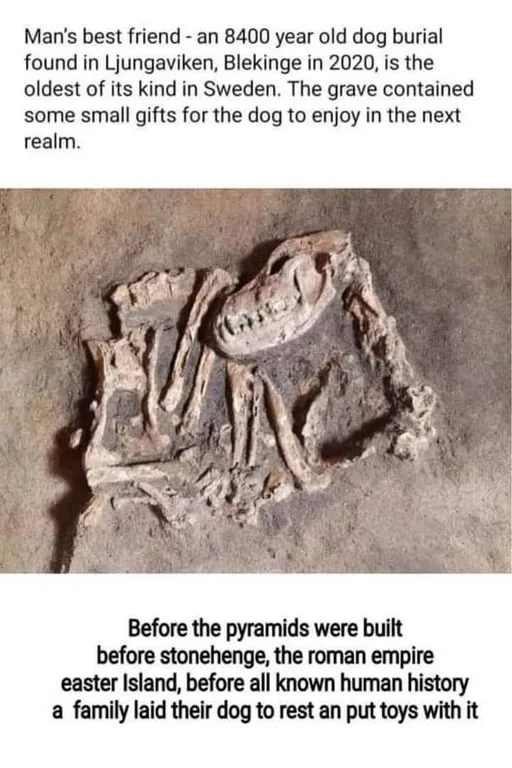 My Very First Friend
