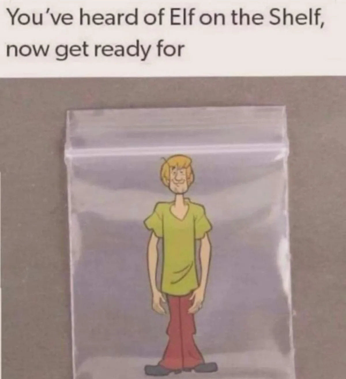 A clear plastic zip-top bag sits on a gray surface, containing a printed cartoon image of the character Shaggy from…