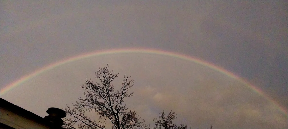 A faint, pale rainbow arcs across a muted, overcast sky, visible above the dark silhouettes of bare trees and a roofline…