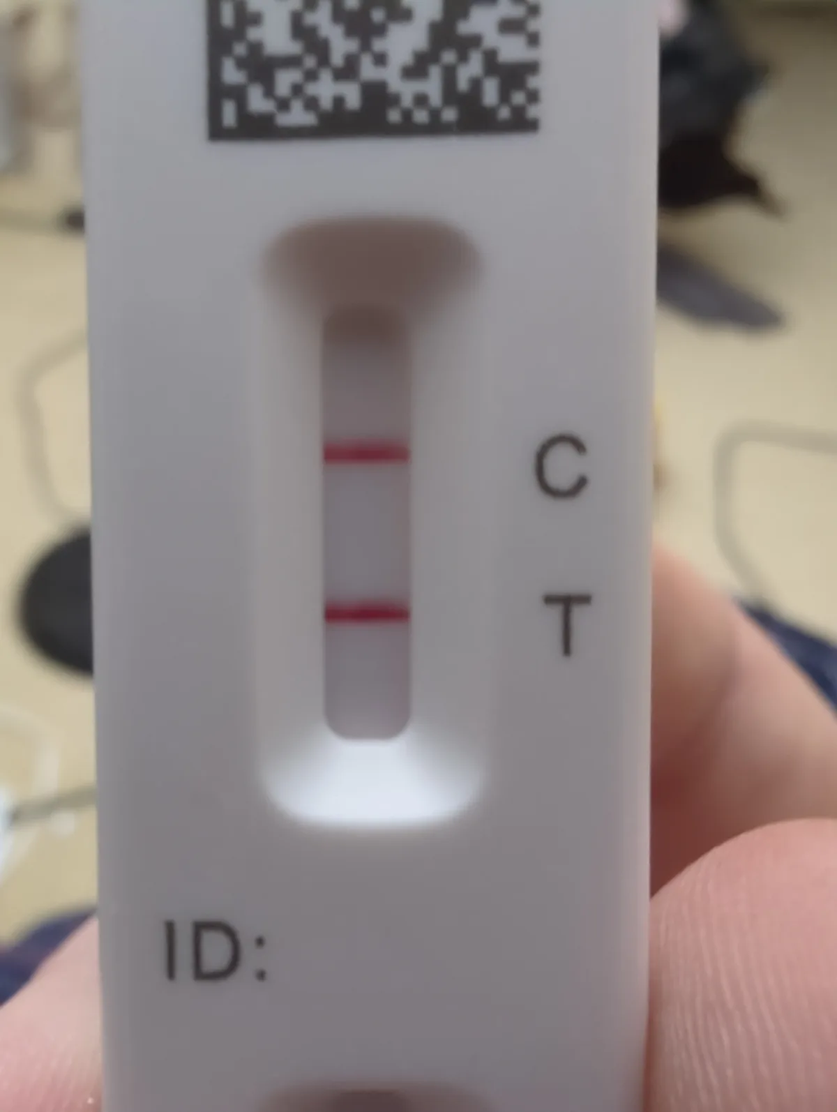A close-up photo of a white COVID-19 rapid antigen test stick held in a person's hand, showing two distinct red lines in the…