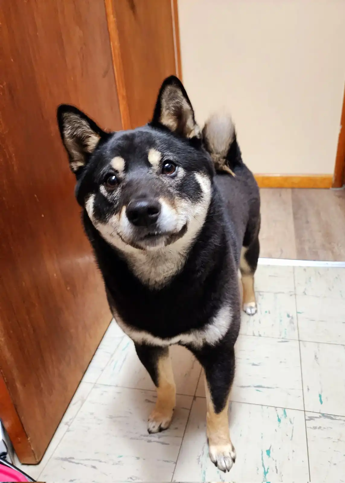 Can I Get Some Scritches, Please?