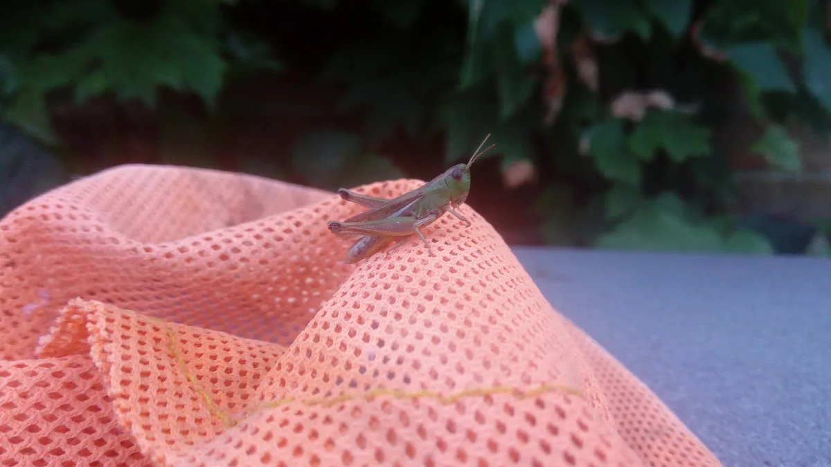 A small green grasshopper is perched on a crumpled, peach-colored mesh fabric, with blurred green foliage in the background…