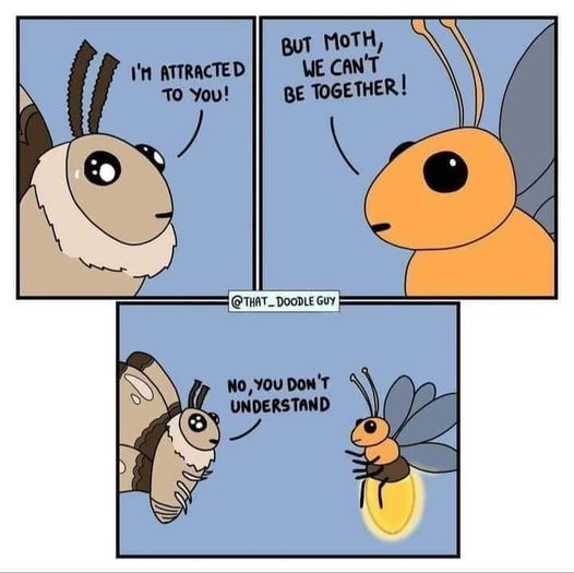 A three-panel comic strip shows a moth and a caterpillar. In the first panel, the caterpillar says 'I'M ATTRACTED TO YOU!'…