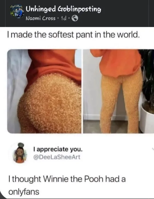 A social media post shows a person wearing extremely fluffy, orange, Winnie the Pooh-themed pants. The top text claims the…