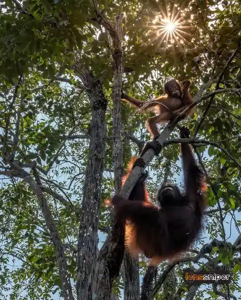 Nature's Cruel Reality