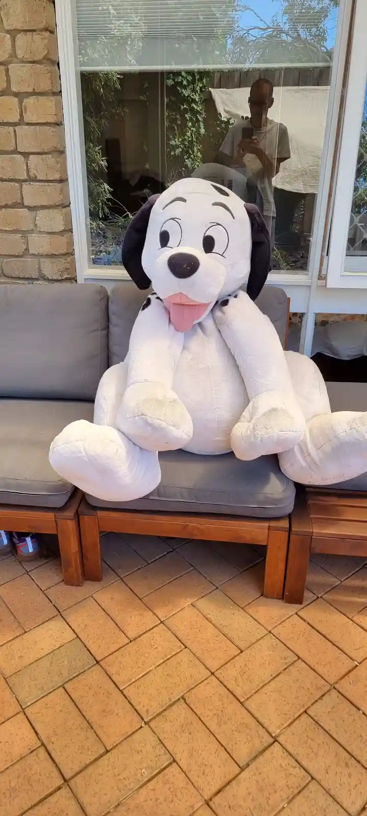 Who's the good boy? Let's find out!