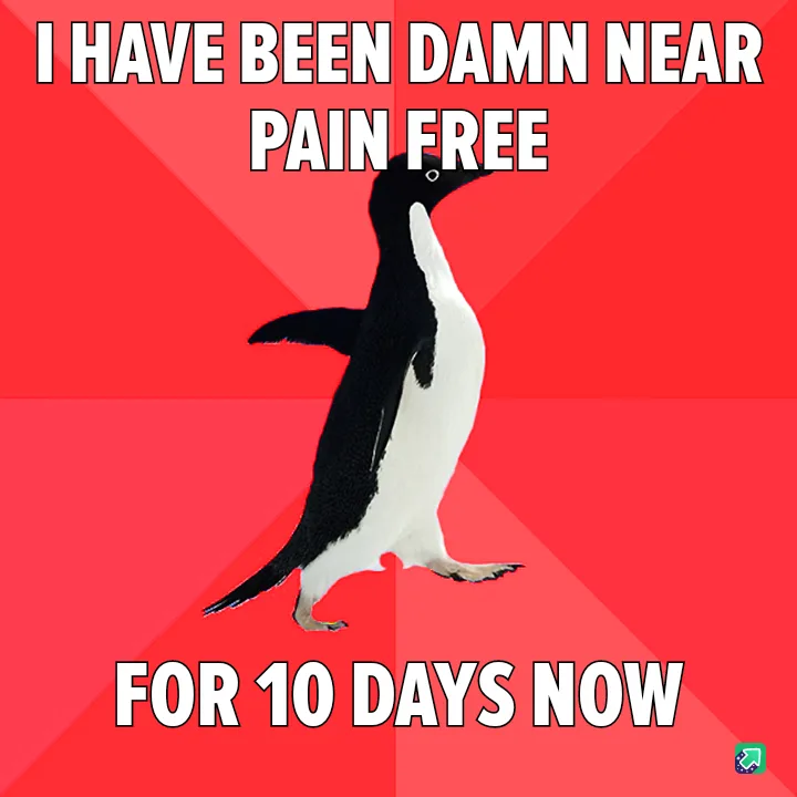 A black-and-white penguin stands upright against a red background with diagonal stripes. White bold text at the top reads 'I…