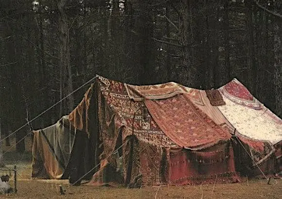 A Glimpse Inside Lucille's Tent: Chapter Image