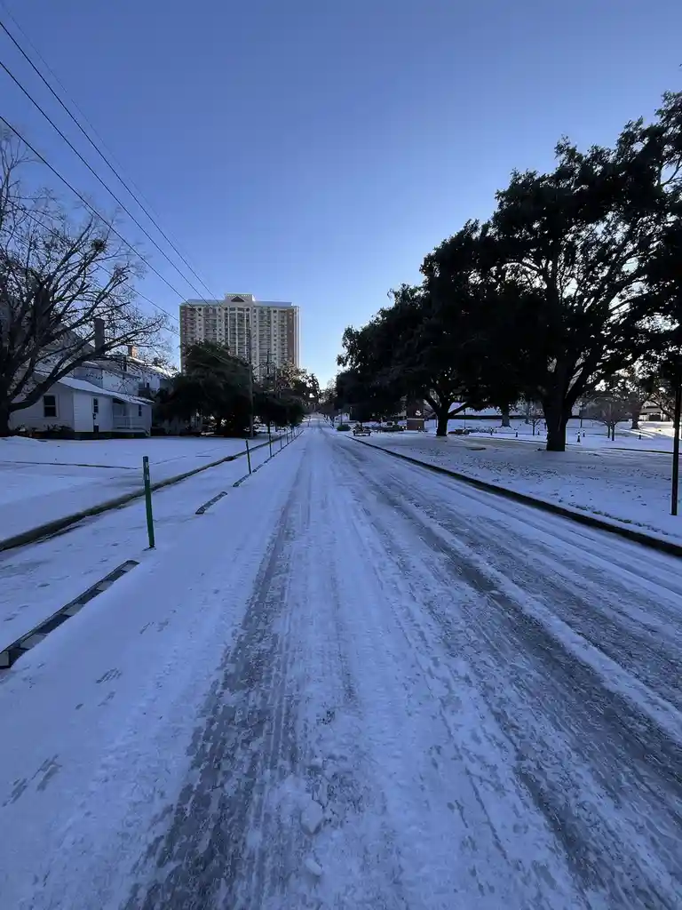 Surprise! It Snowed in Florida!