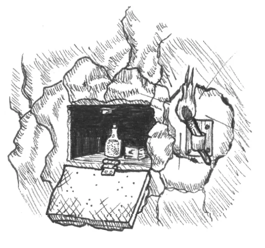 The Hidden Treasure Chest