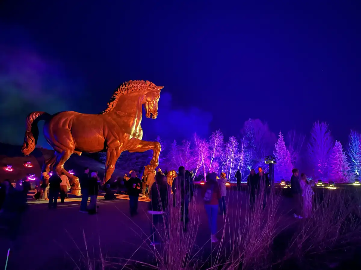 Majestic Horse Moments