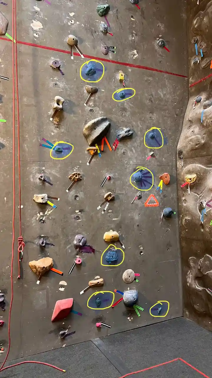 a photo of an indoor climbing wall with numerous colorful hand and foot holds. Several of the holds are circled in yellow…