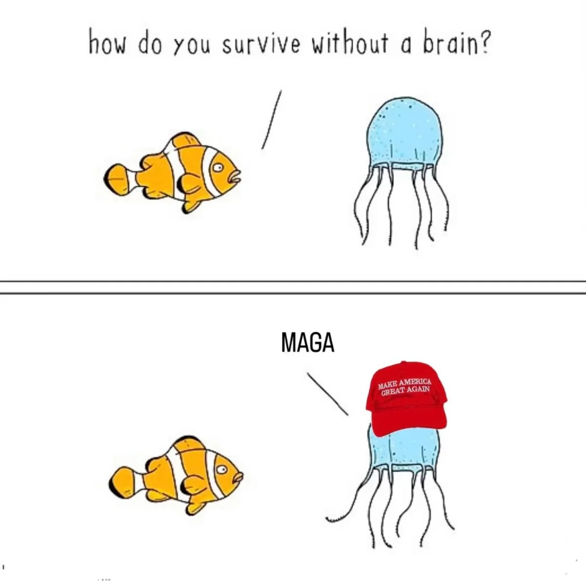 The image shows a two-panel cartoon. In the top panel, a clownfish asks a jellyfish, 'how do you survive without a brain?'…