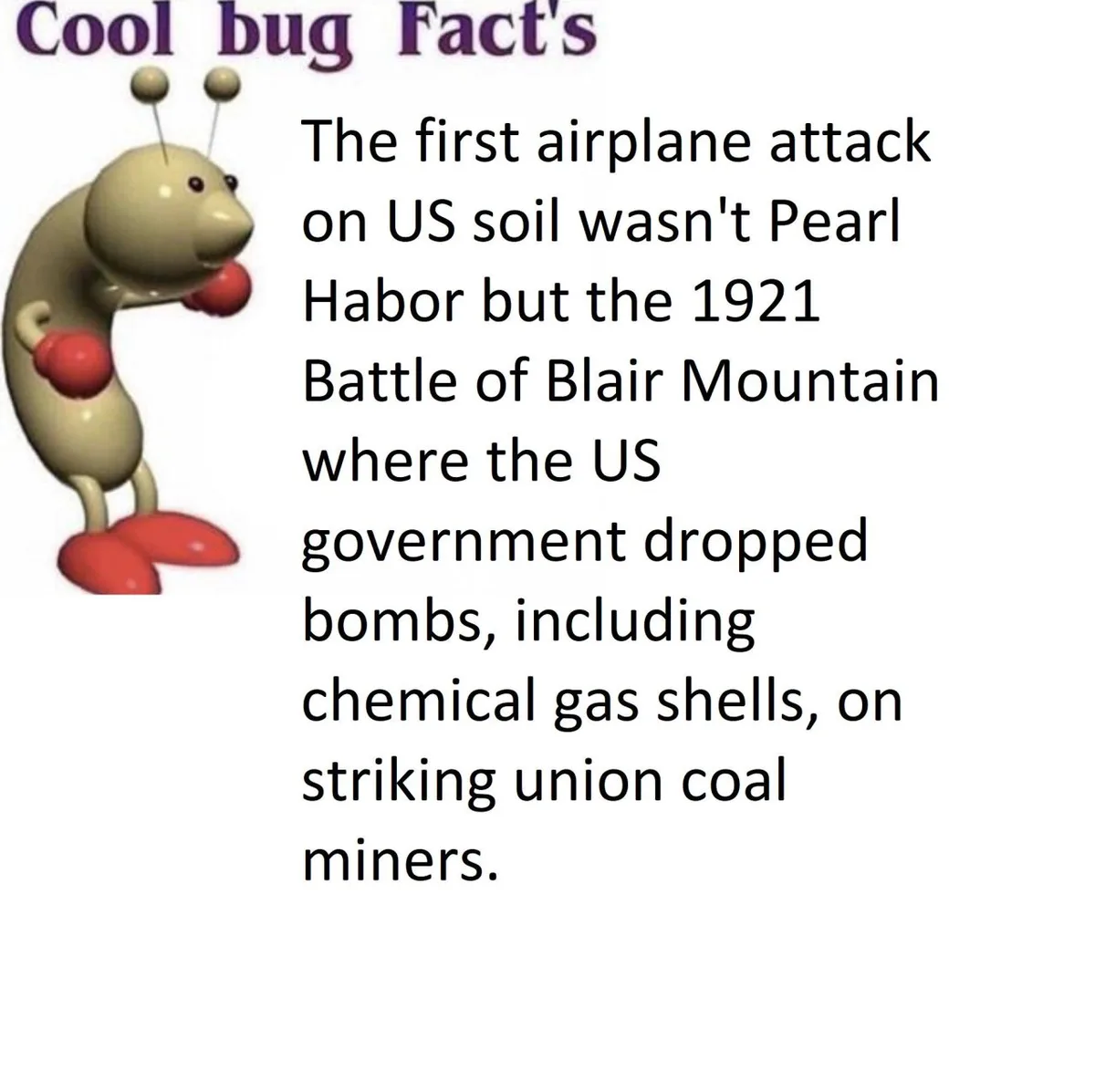 A cartoonish beige bug with red boxing gloves and feet stands beside text titled 'Cool bug Fact's'. The text claims the…