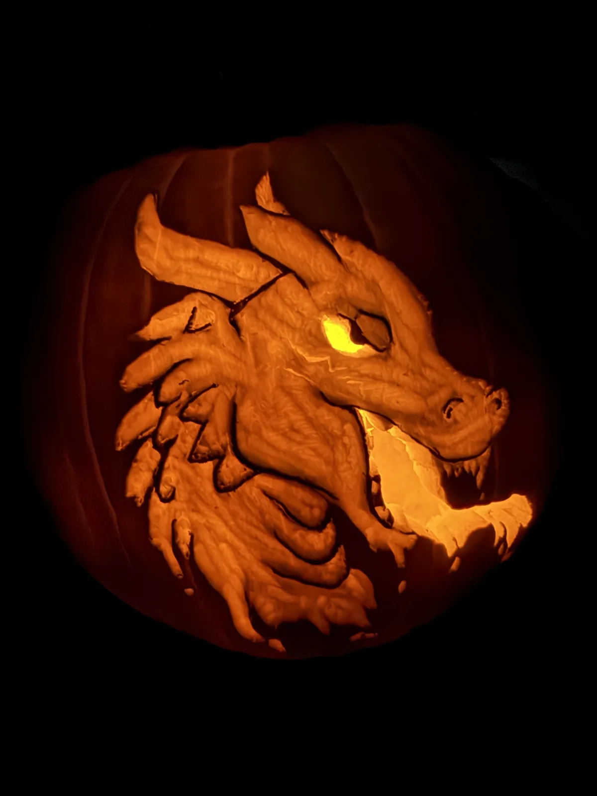 Pumpkin Progress for BD2024: Check Out My Journey