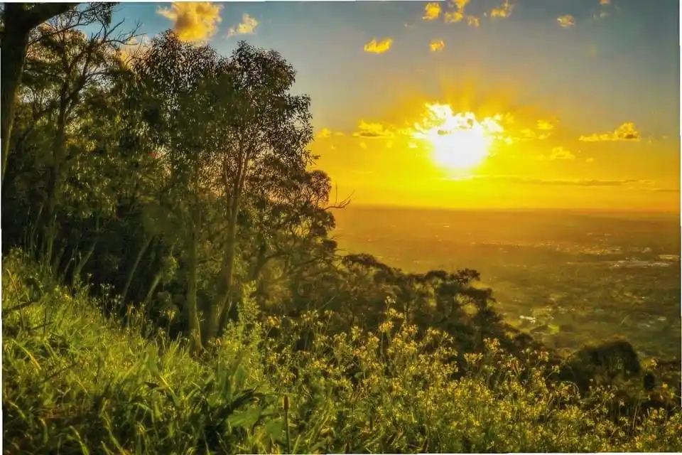 A scenic photo of a golden sunset over a valley, viewed from a grassy hillside with trees and wildflowers in the foreground…