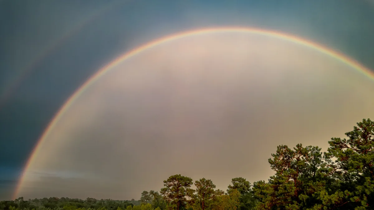 A wide-angle photograph shows a vibrant, full rainbow arcing across a cloudy sky above a treeline of pine trees. The rainbow…