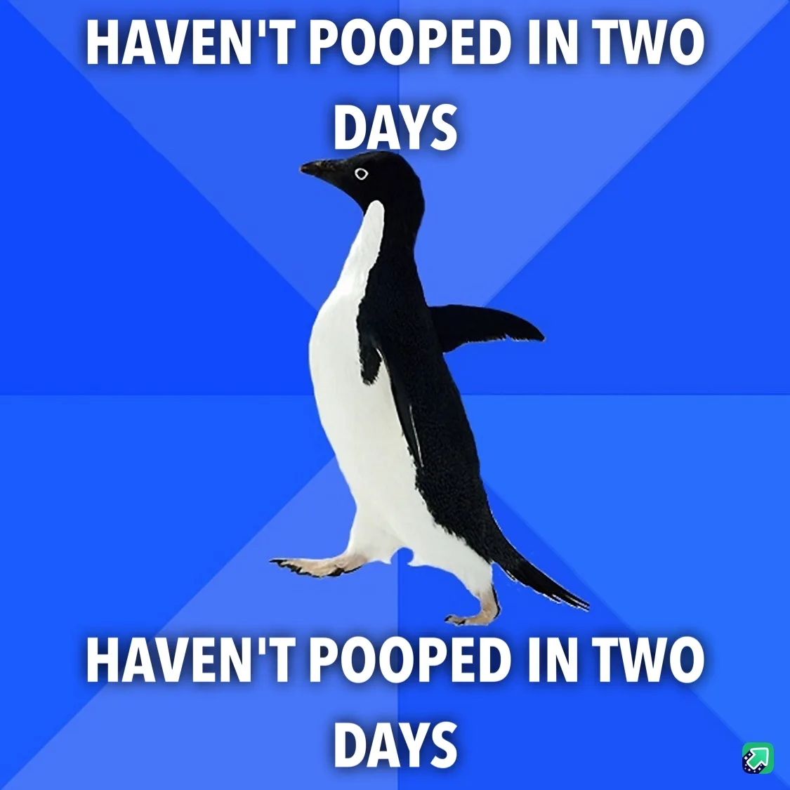 A black-and-white penguin stands against a blue background with diagonal stripes. The text above and below the penguin reads…