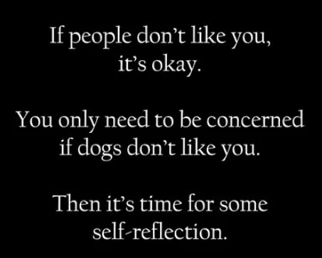 Embracing the Unfiltered Truth