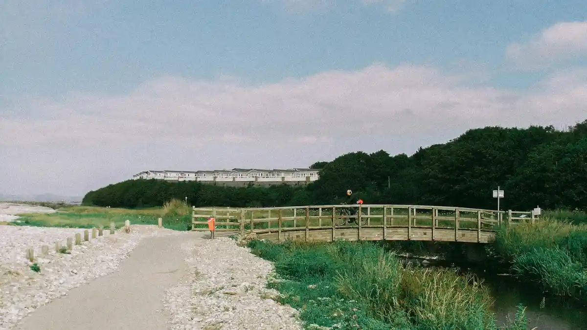 A majestic seagull soars above a rustic footbridge, its wings outstretched as it rides the gentle river breeze, above a…