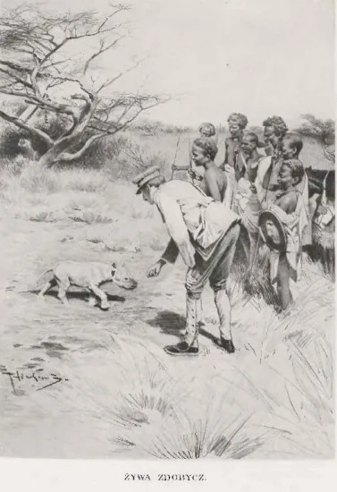 The Rare and Possibly Extinct North-eastern Black Rhino