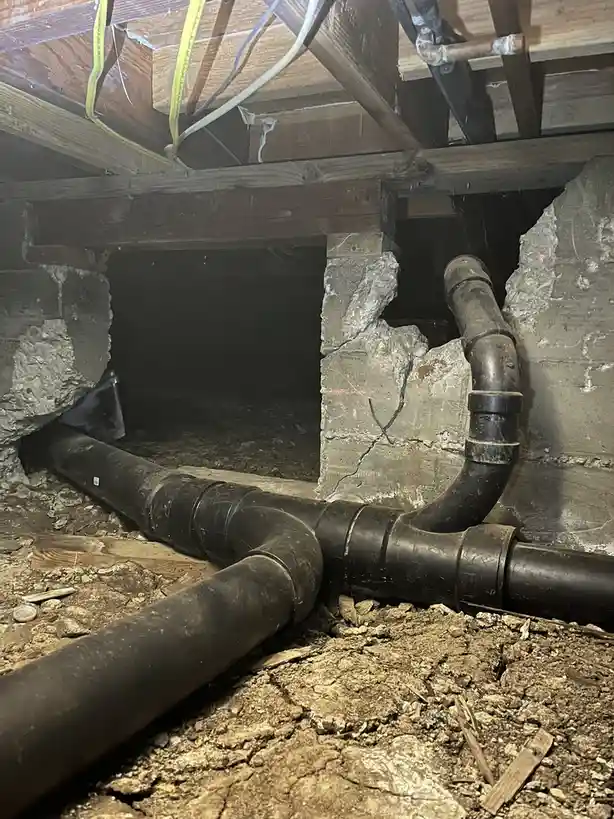 Discover the most fascinating things uncovered during structural assessments in 2024!