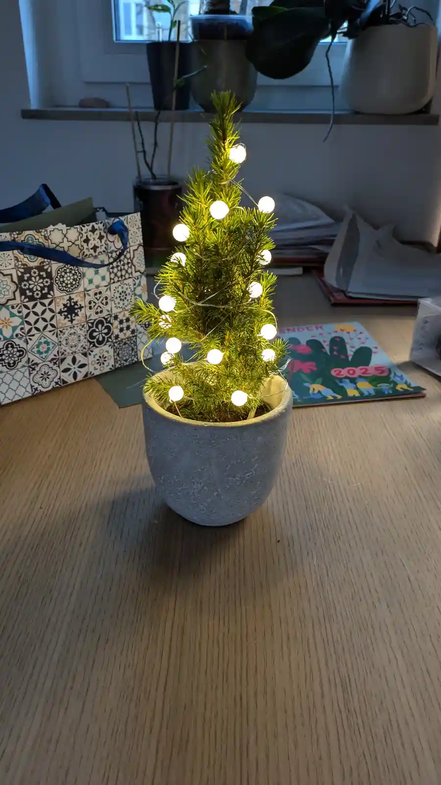 A small potted evergreen tree, resembling a miniature Christmas tree, sits on a wooden desk and is decorated with glowing…