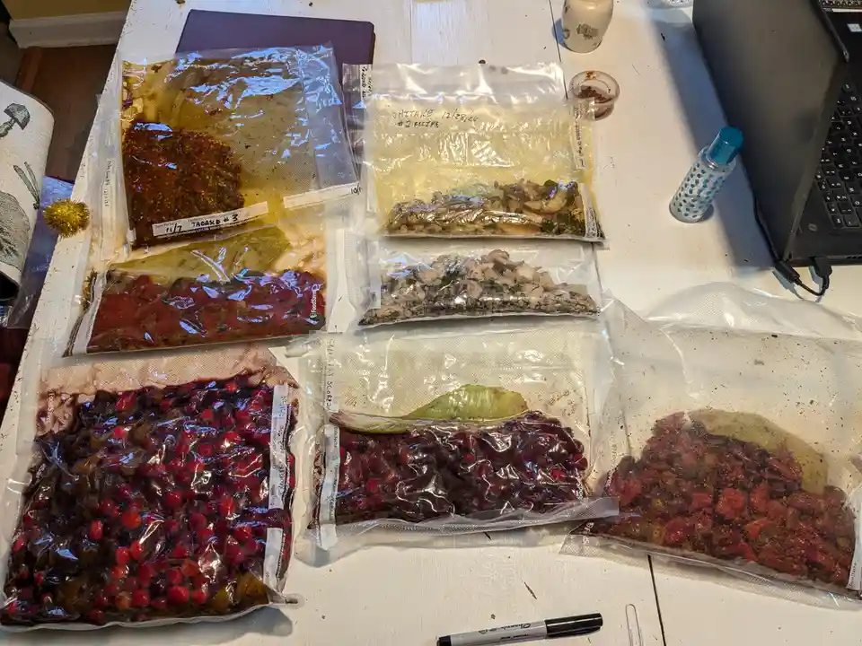 Several vacuum-sealed food bags are laid out on a white table, containing various prepared meals like mushrooms, berries…
