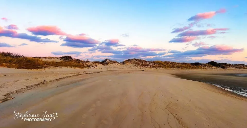 Let’s Head to the Beach for Some Fun!