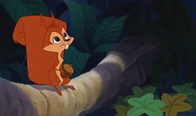 All About Team Acorn