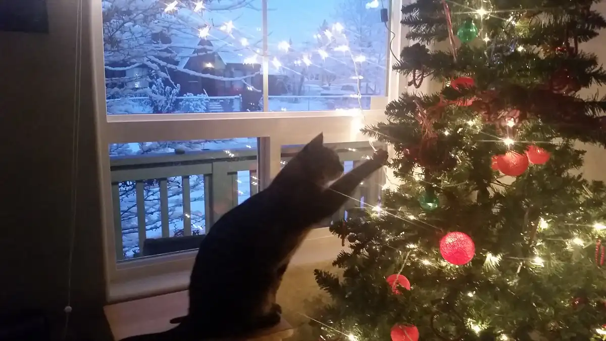 Ruby Perfects Her Holiday Tree with Final Touches