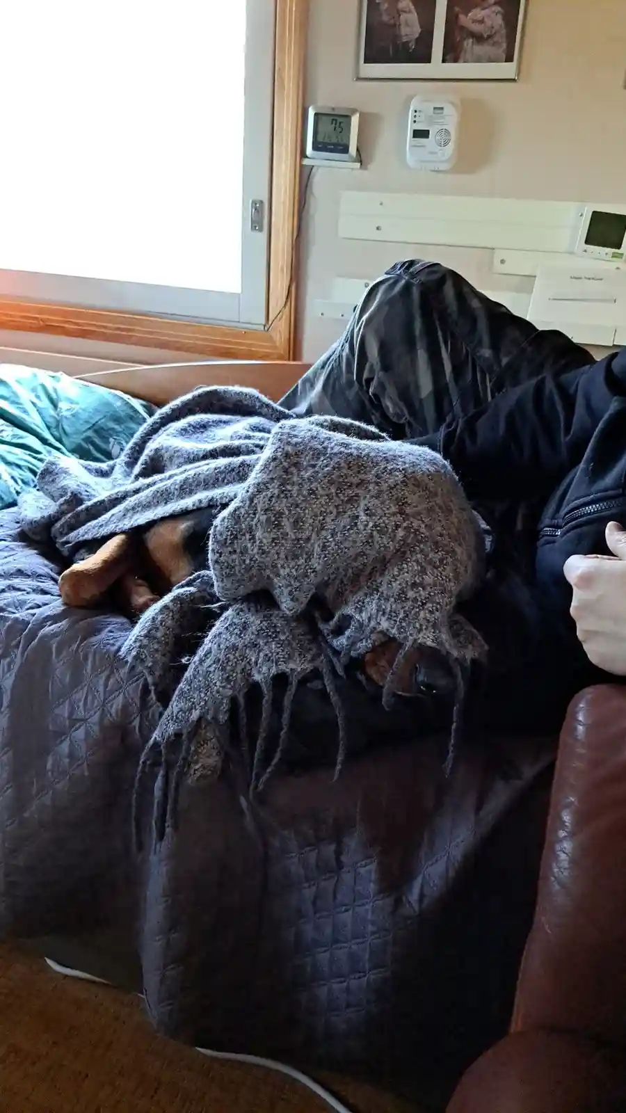 A person is sitting on a couch covered in blankets, with a dog also tucked under the same blanket, both appearing to be…