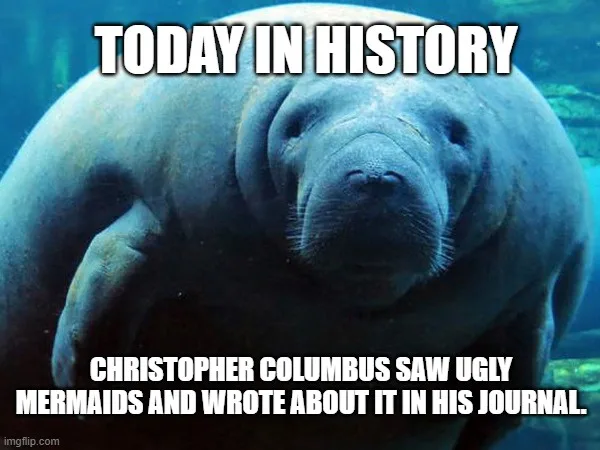 A close-up underwater photo of a large, wrinkled, gray manatee looking directly at the camera with a calm, almost smug…