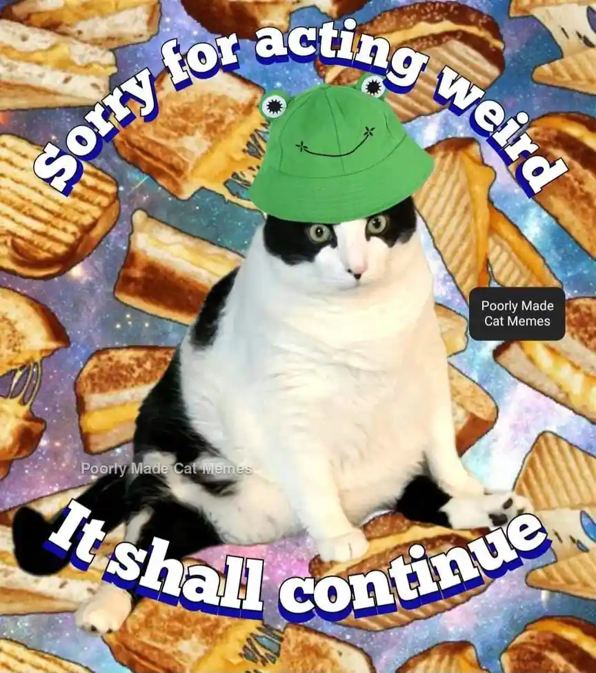 A black and white cat sits calmly wearing a green frog-themed bucket hat with a stitched smiley face, against a surreal…
