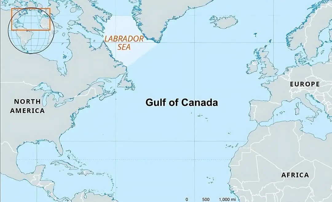 Canada just played the ultimate card, eh?