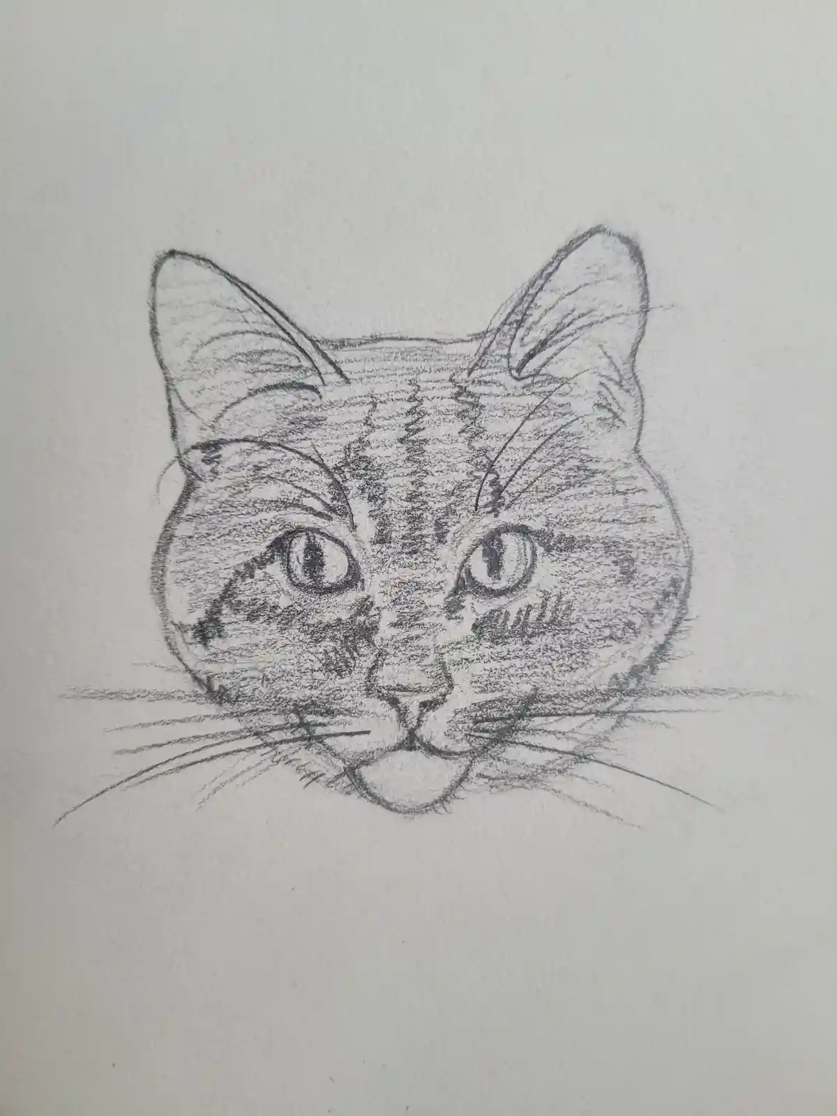 A pencil sketch of a cat's face on textured white paper, showing detailed shading, whiskers, and a slightly misaligned or…