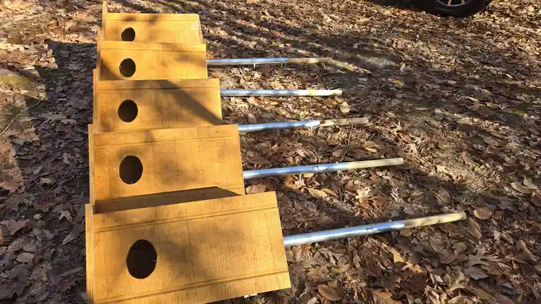 Exploring the Wood Duck Boxes hidden in the swamp.