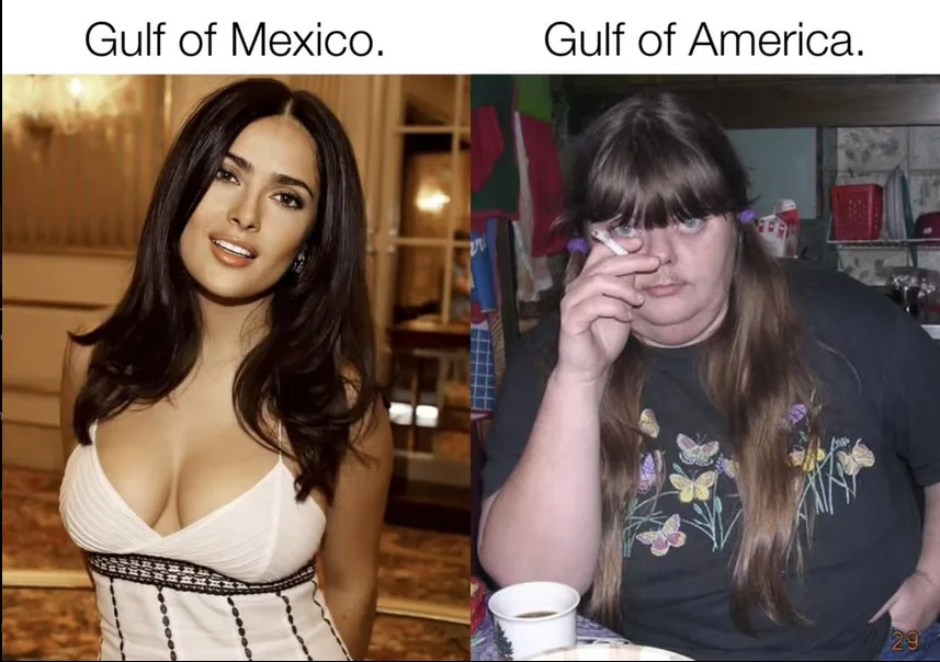 The image is a split-screen meme. The left side shows a glamorous, professionally photographed woman labeled 'Gulf of…