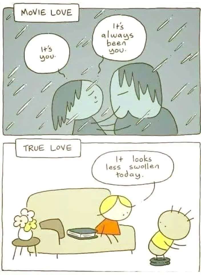 A two-panel comic strip. The top panel, labeled 'MOVIE LOVE,' shows two cartoon figures embracing in the rain, with speech…