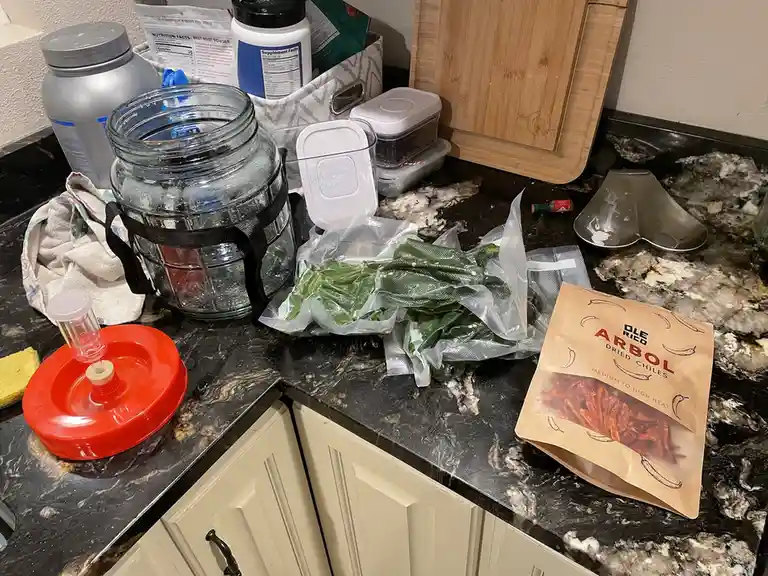 A cluttered kitchen counter holds a large glass fermentation jar with a red lid, vacuum-sealed green chiles, a bag of Ole…