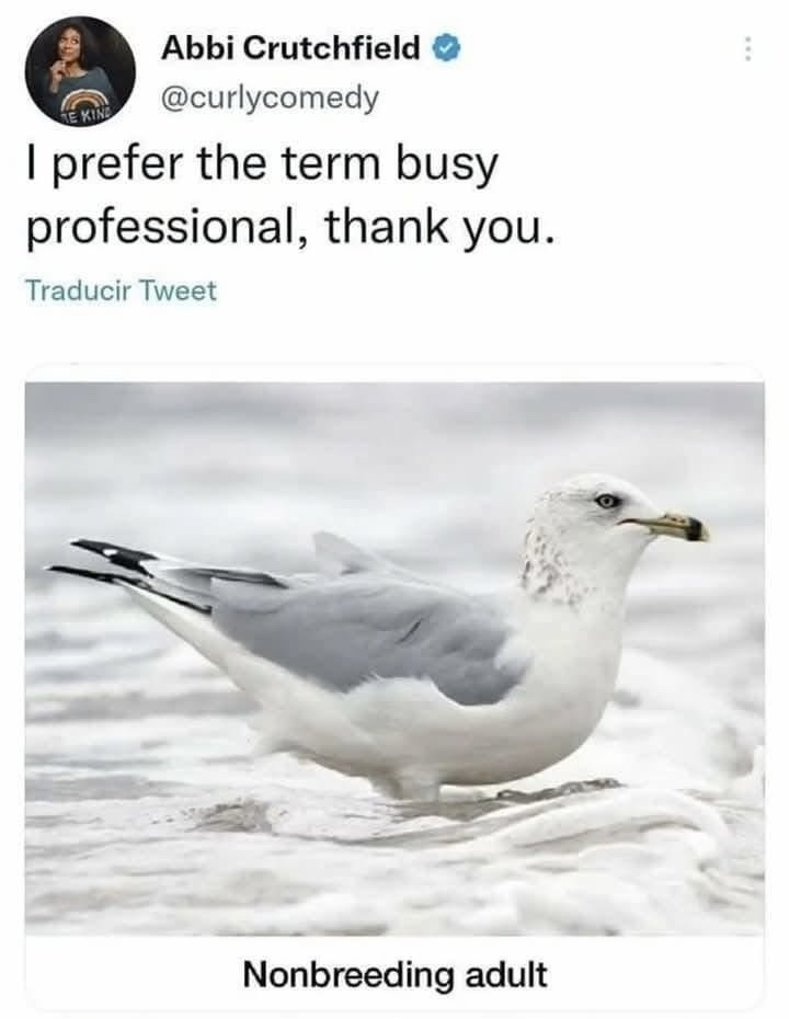 A tweet from Abbi Crutchfield (@curlycomedy) reads 'I prefer the term busy professional, thank you.' Below it, a photo of a…