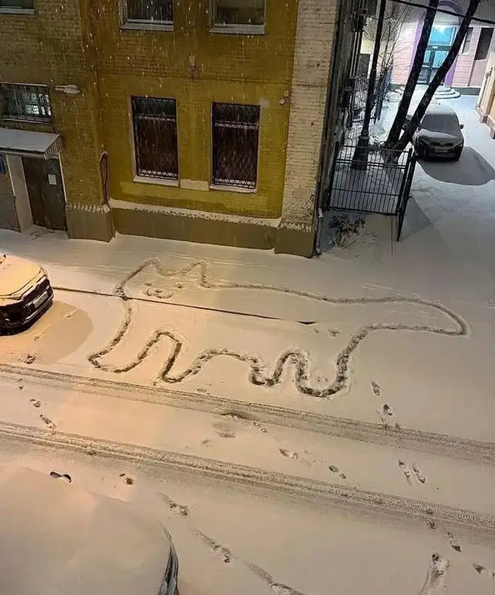 The Joyful Snow Cat in Action