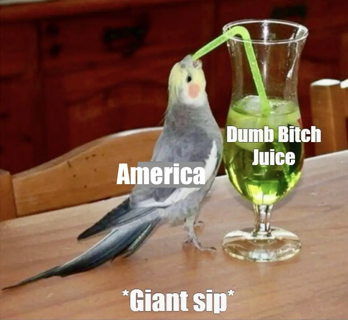 A cockatiel bird is perched on a wooden table next to a glass of green liquid with a green straw. The bird is shown drinking…