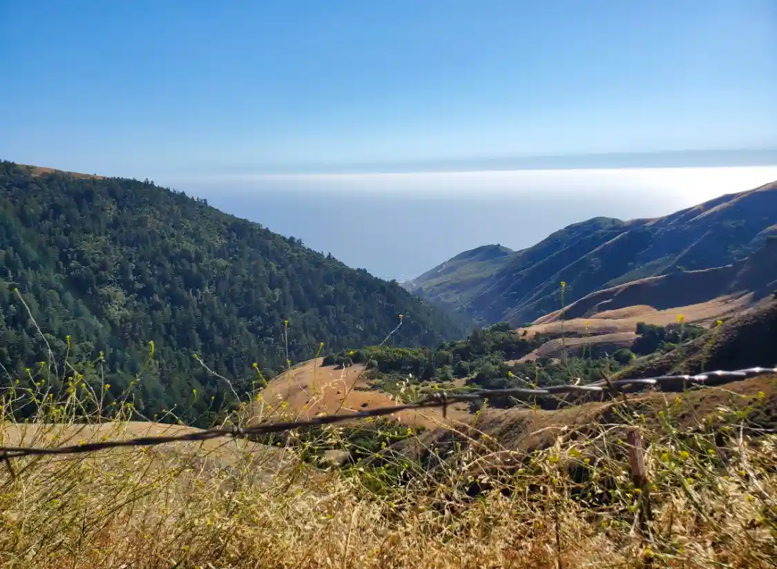Nacimiento-Fergusson Road: A Journey Through Time