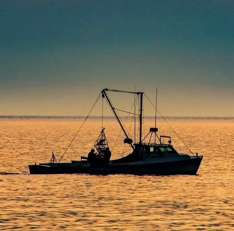 Setting Sail: The Journey Begins