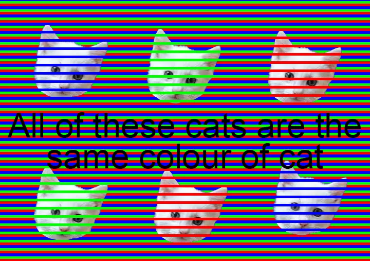 The image displays five cat heads arranged in a grid against a background of alternating red and blue vertical stripes. Each…