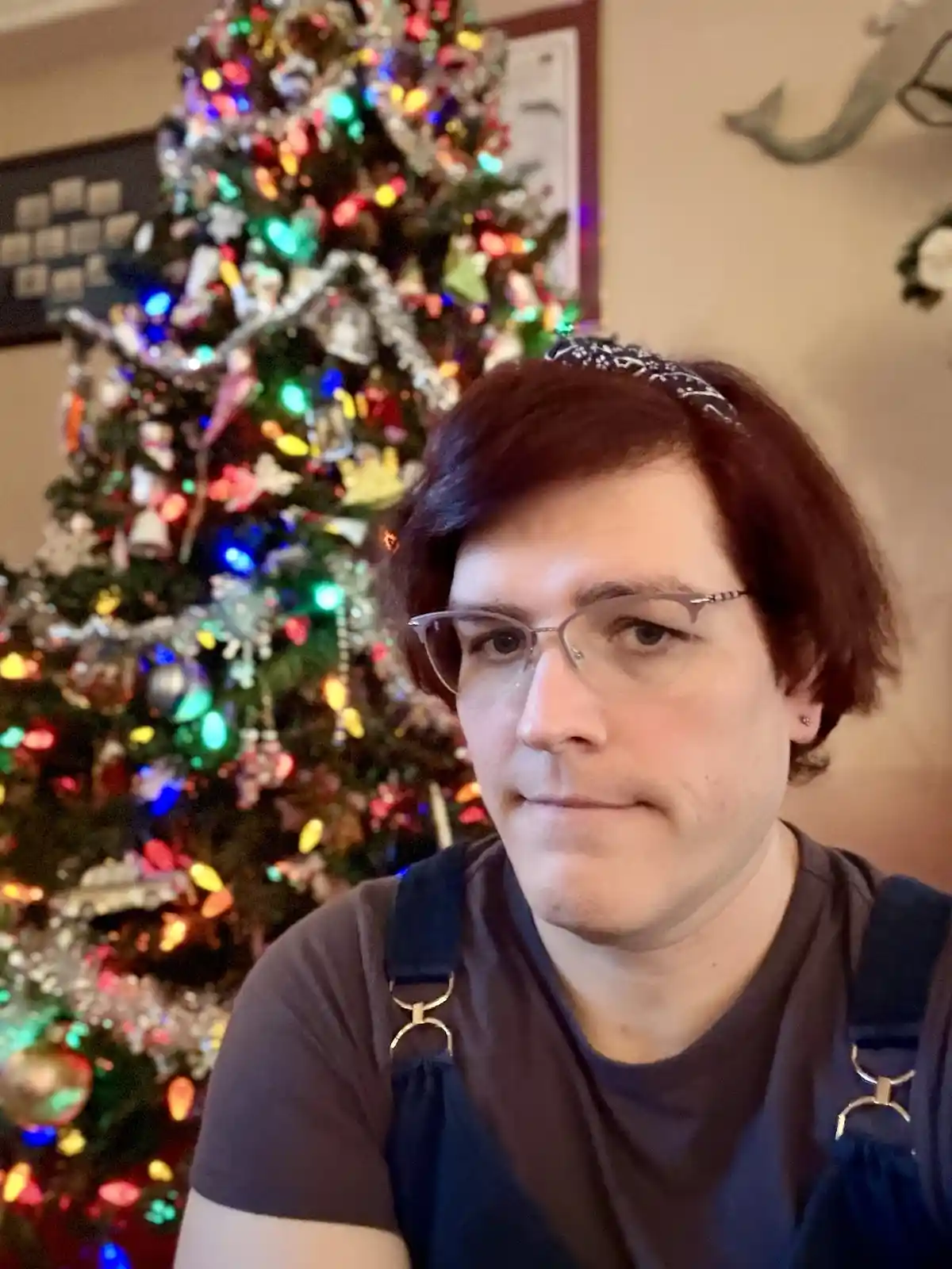 Celebrating Festivus with Cheer and Good Vibes!