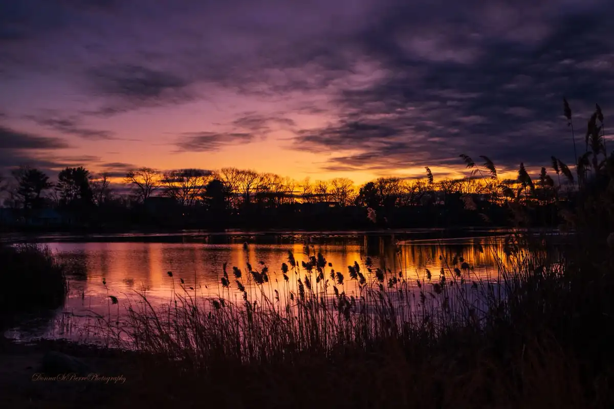 A serene sunset photograph shows a lake reflecting vibrant orange and purple hues from the sky, with silhouetted reeds in…