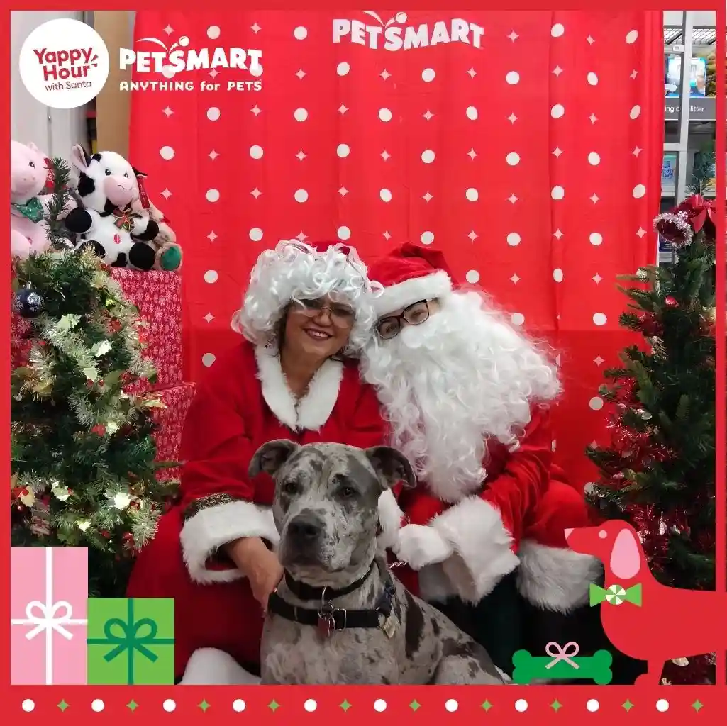 A festive photo from PetSmart's 'Yappy Hour with Santa' event shows two people dressed as Santa and Mrs. Claus posing with a…